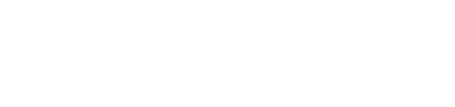 VVSkin